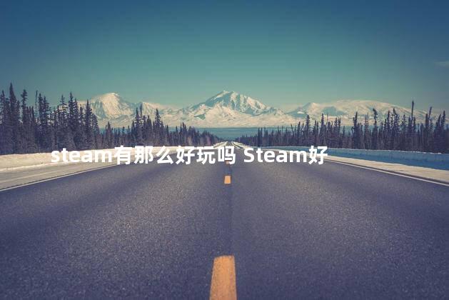 steam有那么好玩吗 Steam好游戏